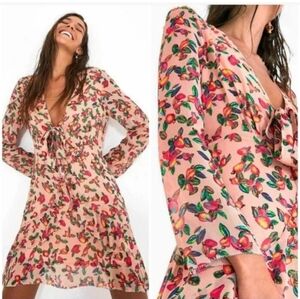 FARM Rio Multicolor Floral Long Sleeve Dress